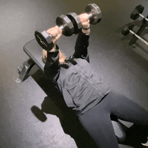 The Best Chest and Triceps Workout for Building Size and Strength 3 giphy 11